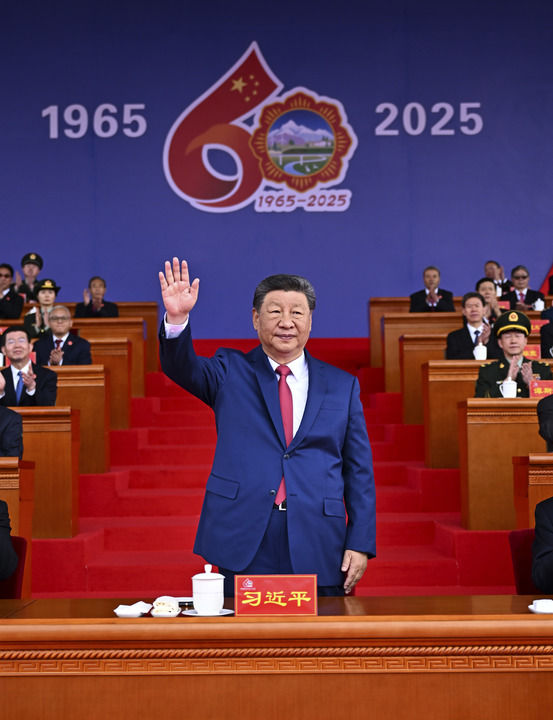 图片33.png